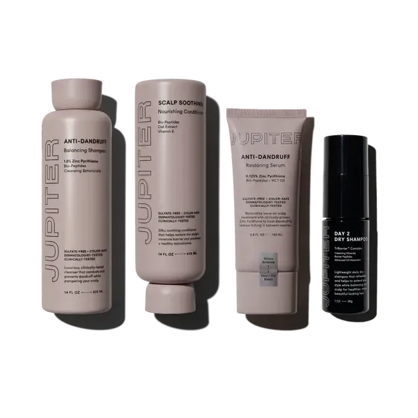 Day 2 Dry Shampoo + Advanced Oil Control Trio