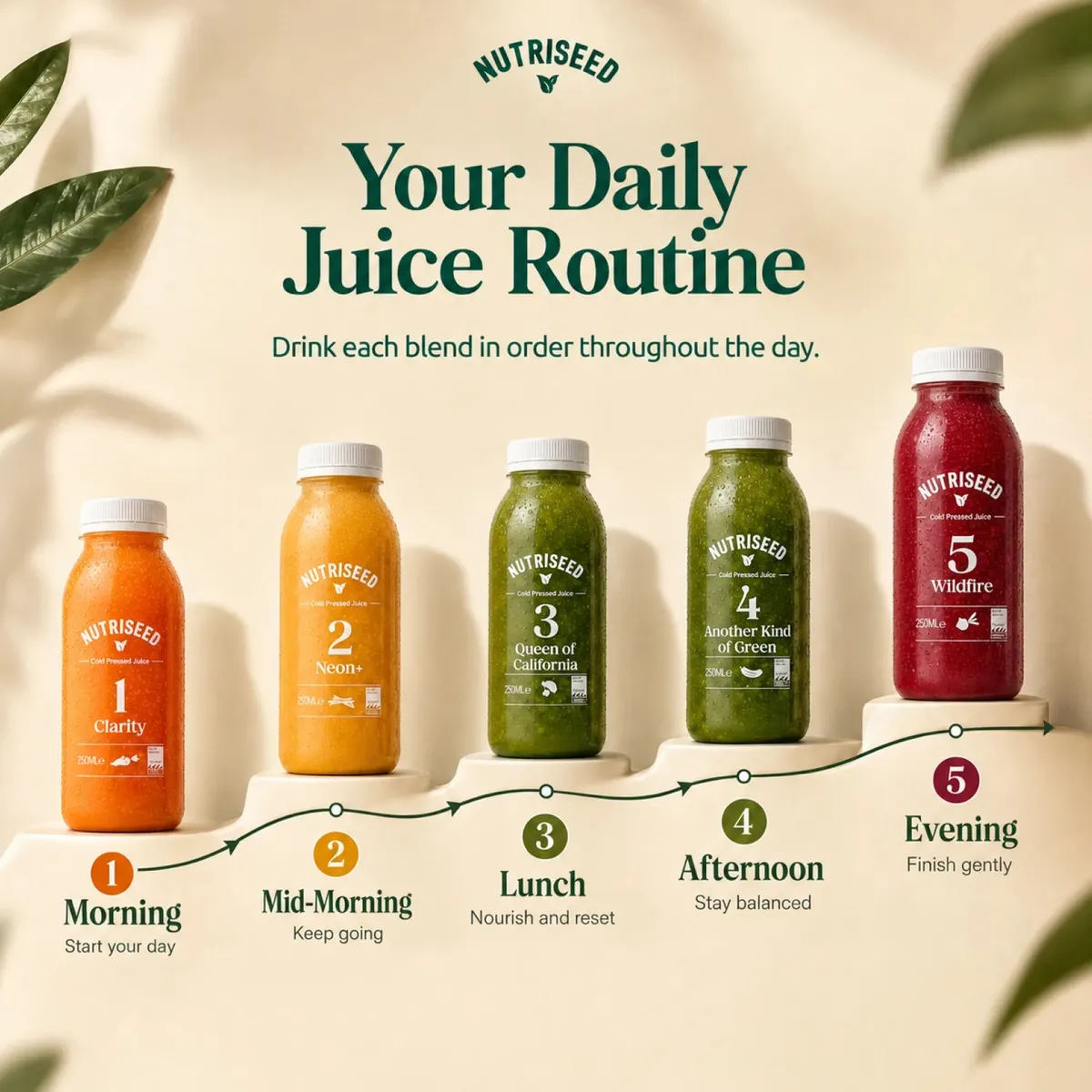 ROUTINE